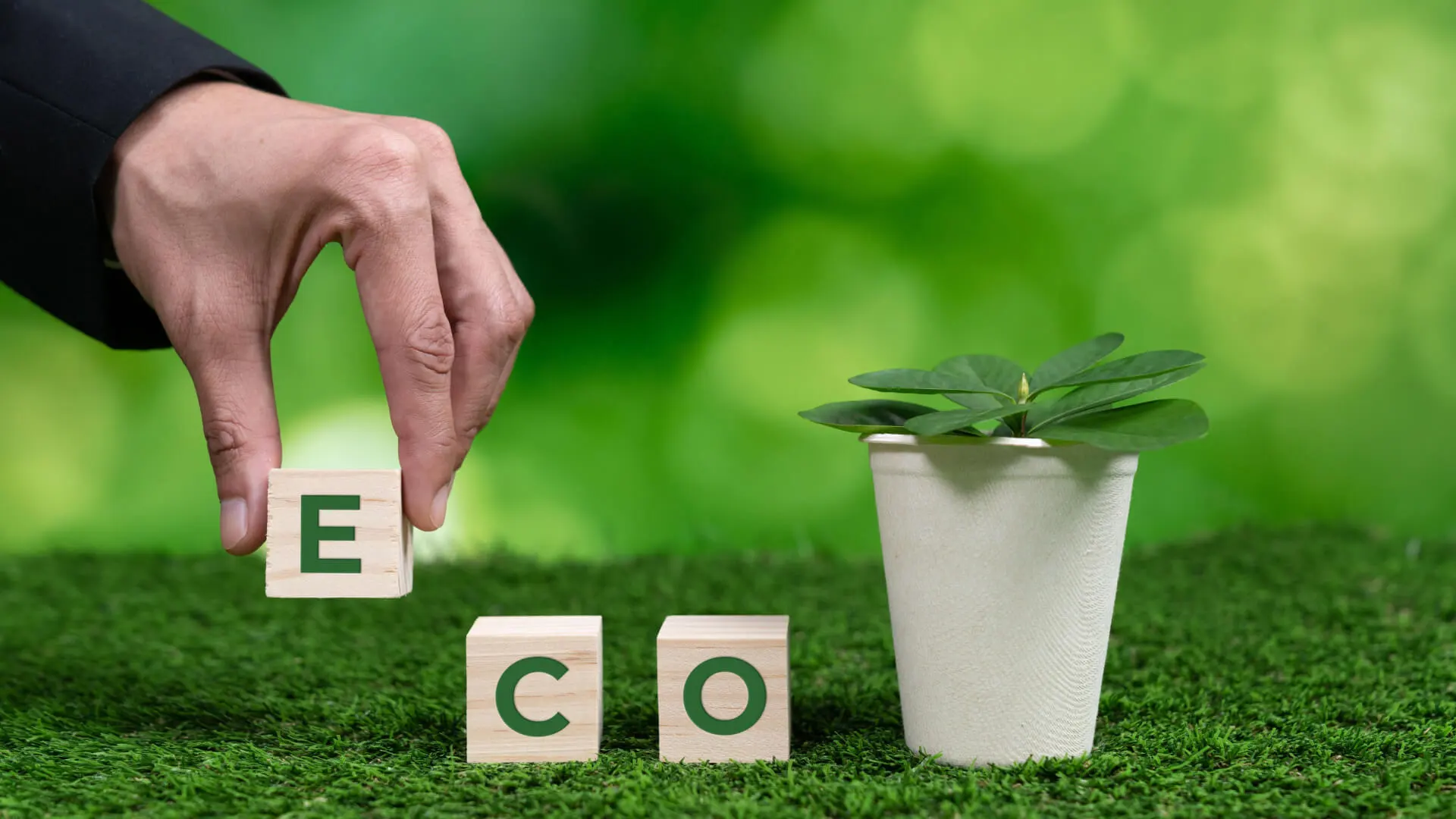 100% Home Compostable