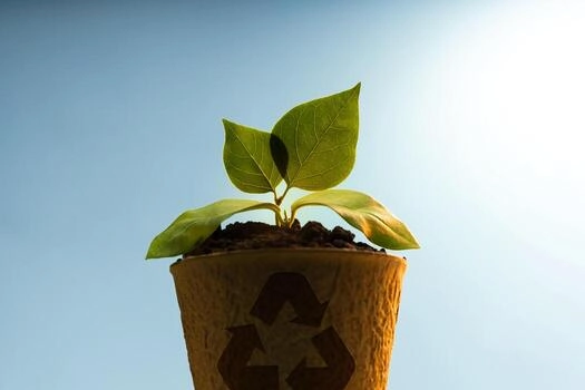 Growing Materials Instead of Extracting Them