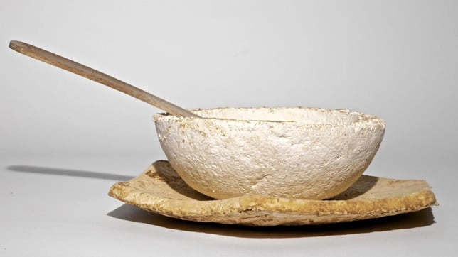 mycelium products