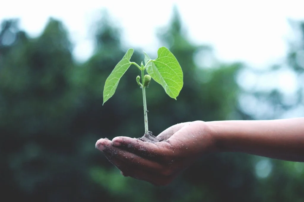 eco
