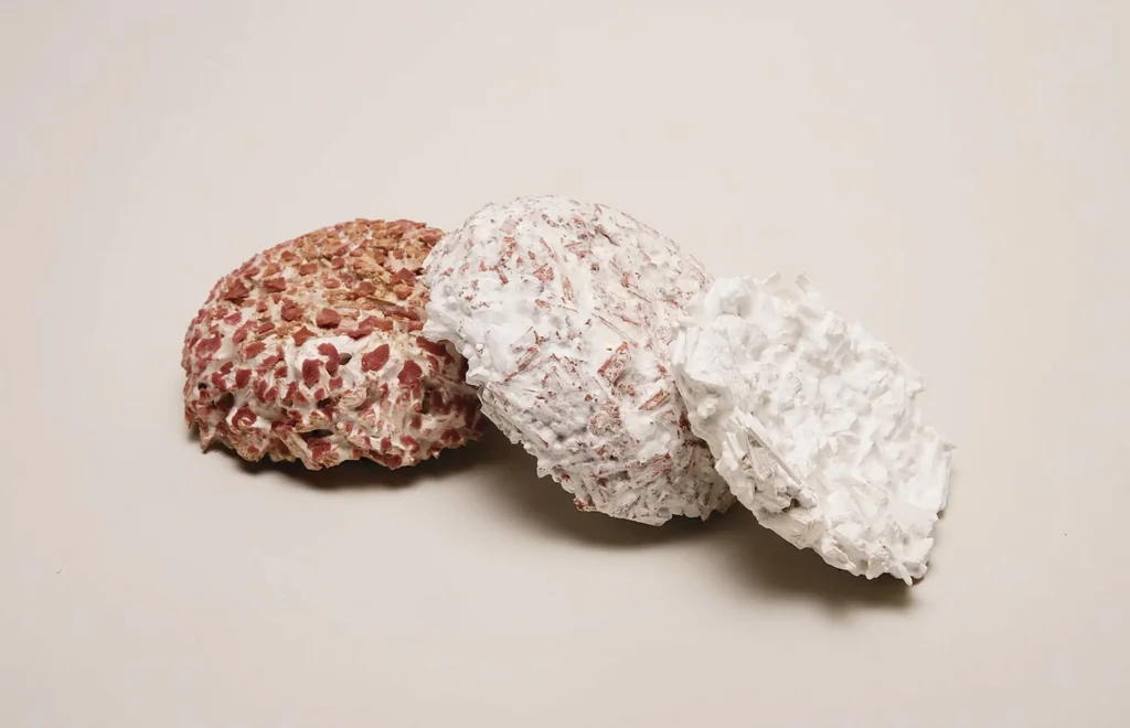 mycelium products